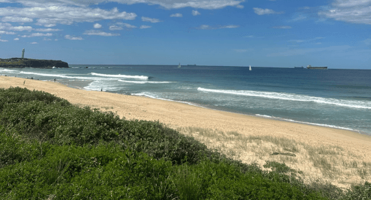Locum nursing in Wollongong