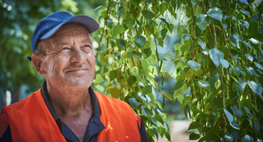 What to Put on a Groundskeeper CV