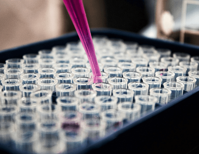 Pharmaceutical & Life Sciences.