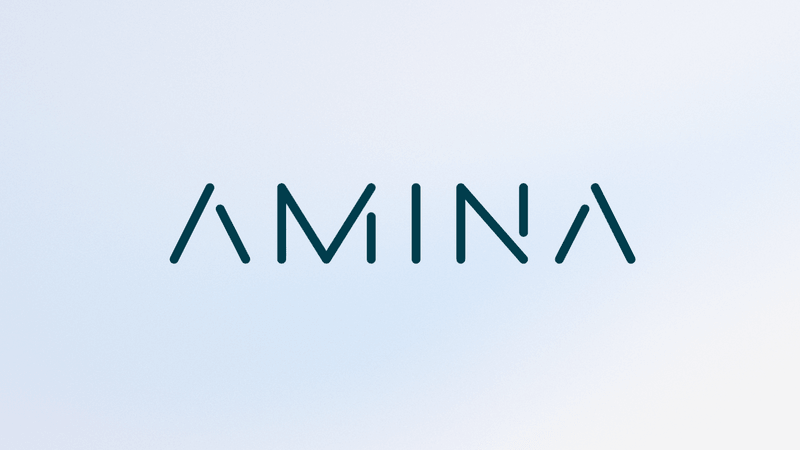 Amina Bank Case Study image