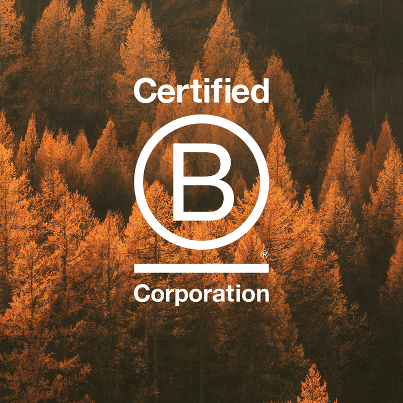 Company Name Case Study image