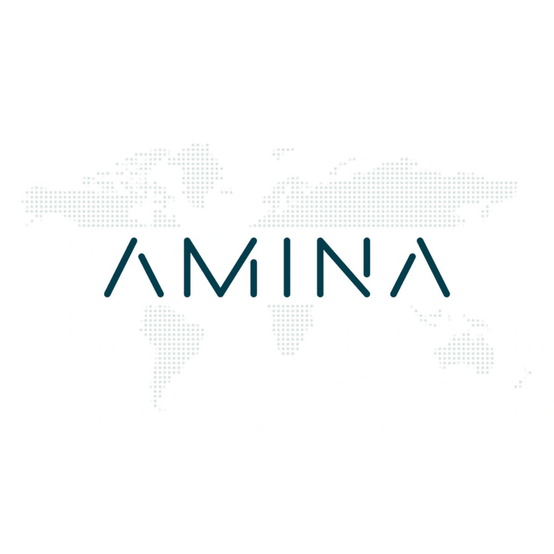 Amina Bank Case Study image
