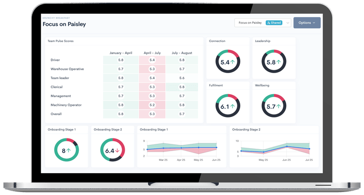 Customised reporting of your employee survey results over time by segment