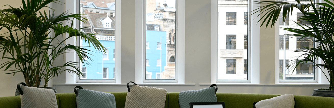 Grüne Couch mit Kissen und Pflanzen am Fenster im Büro von Rise Technical in Bristol