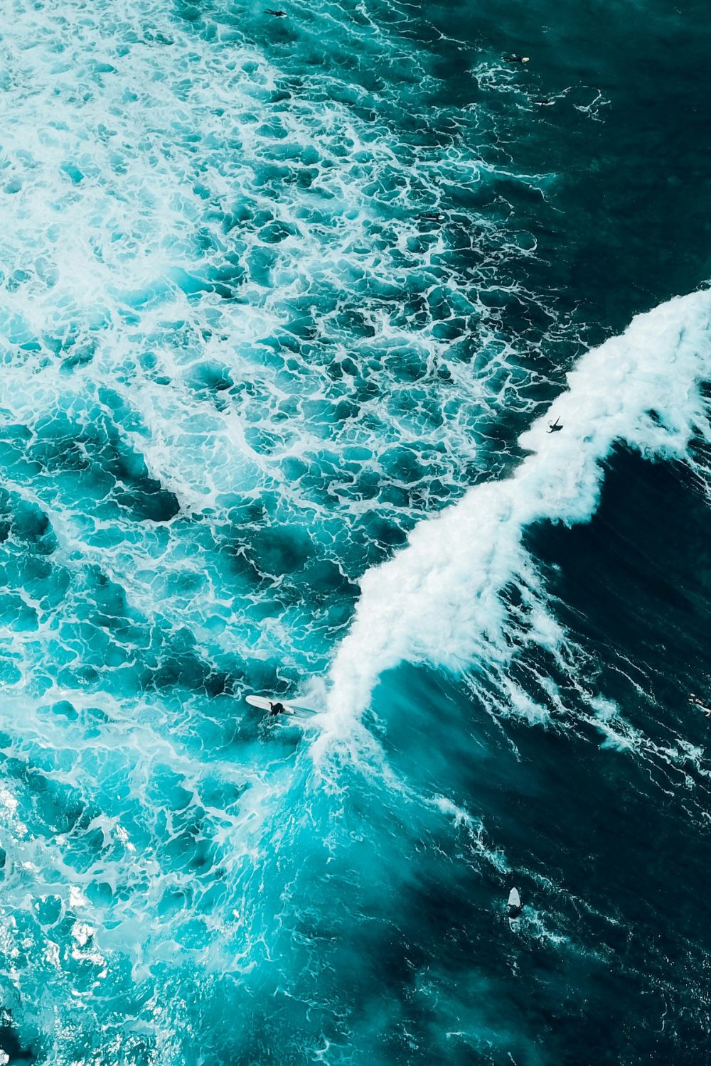 sub banner