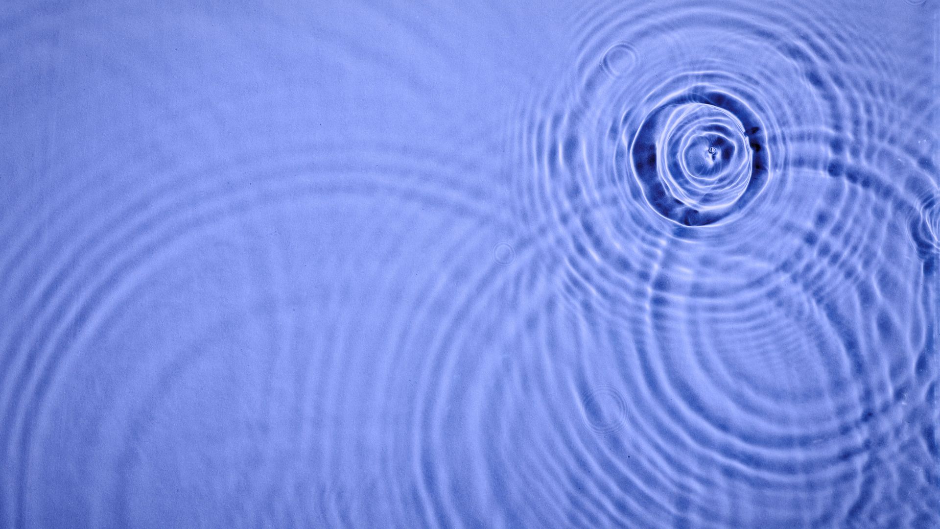 ASIAN, BUT DIFFERENT: LEADING ACROSS DISPARATE CULTURES IN ASIA