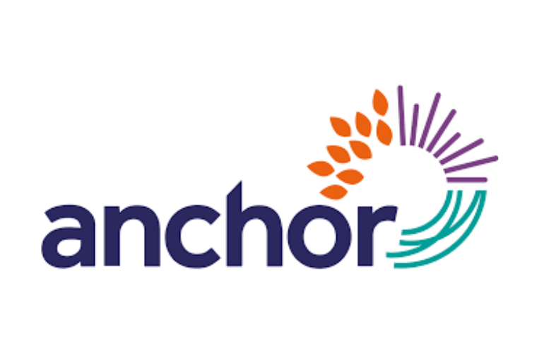 Assets Data Consultant, Anchor