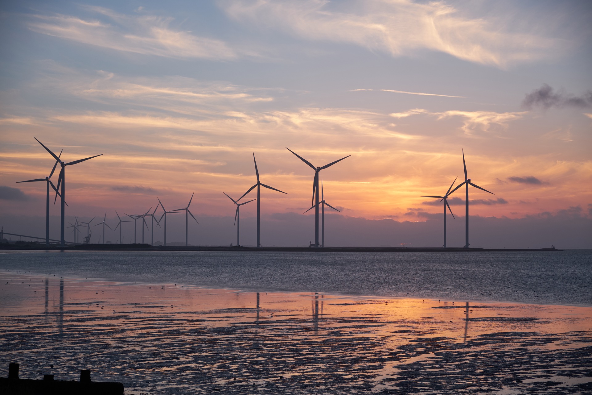 Offshore Wind Project Lifecycle