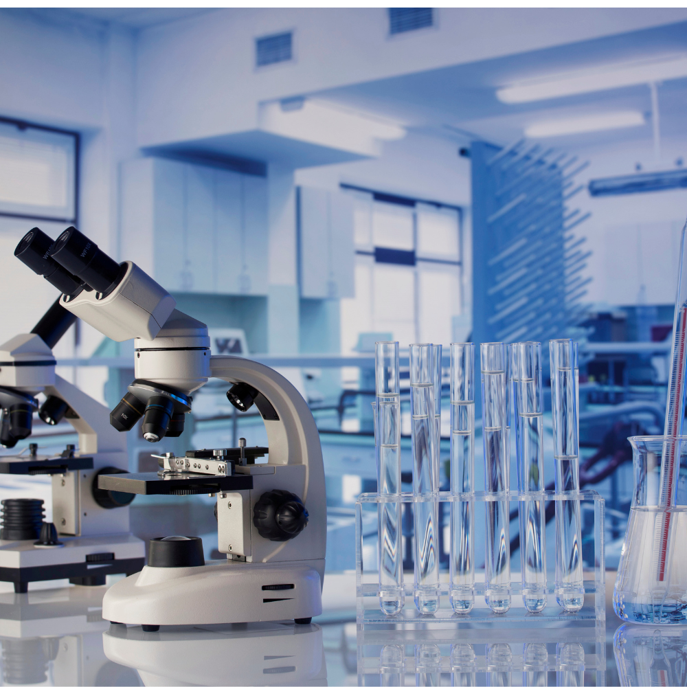 Synergy Scientific Services: Showcasing the Power of Continuous Improvement