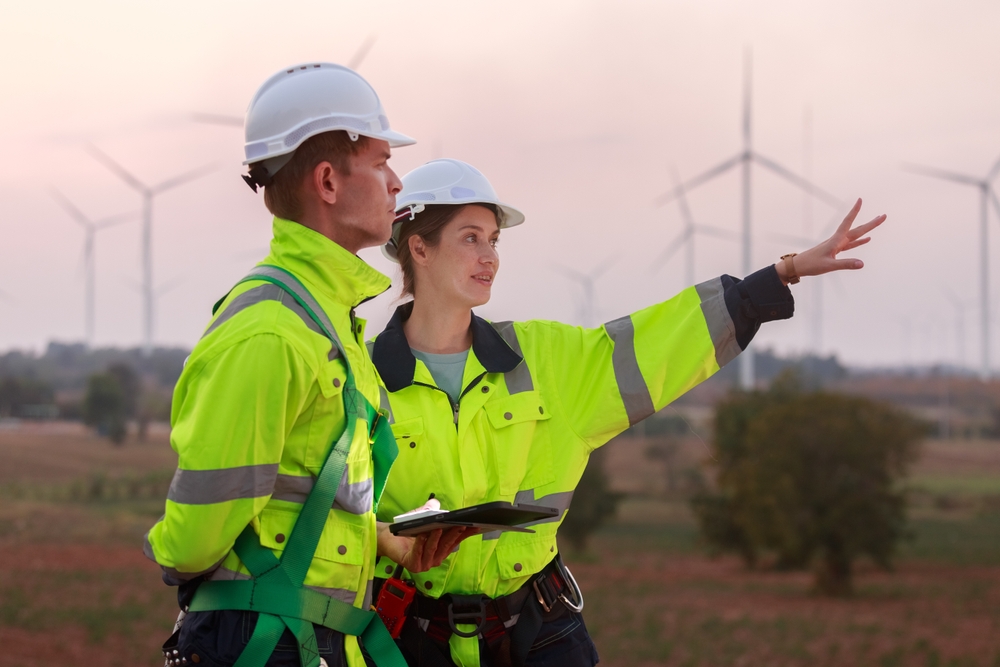 Exporting renewable energy professionals from mature to developing markets