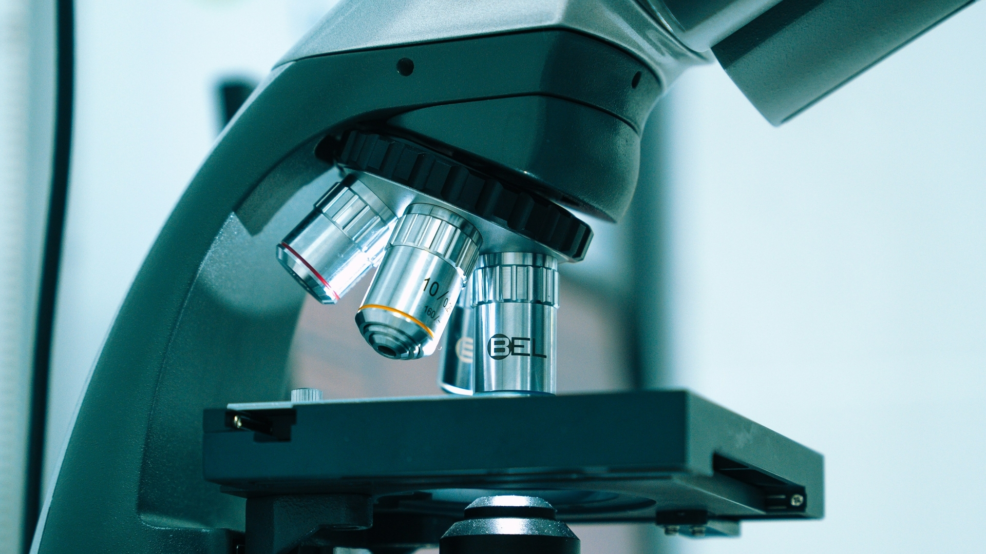 What's New in Life Sciences? Ep. 6 (part 2): 2025 Trends in the Diabetes Sector