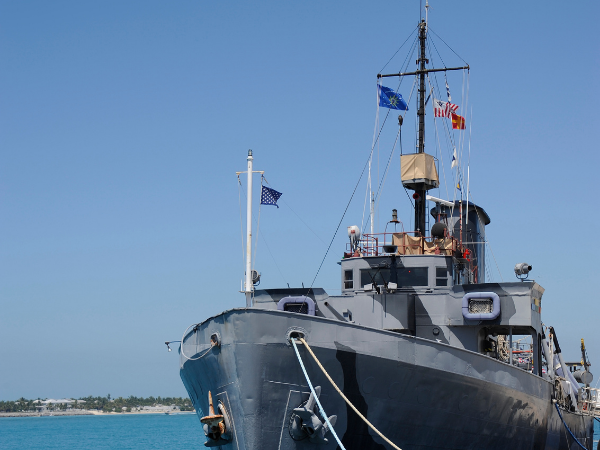 Securing Niche Electrical Expertise for a Leading German Shipbuilder