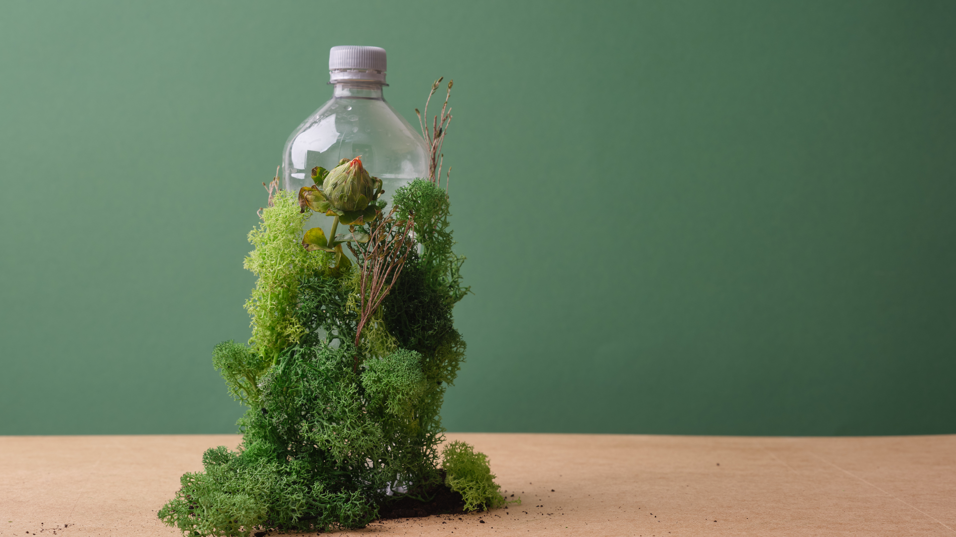 The Food and Beverage Industry: Complex Sustainability Challenges and Breakthrough Innovation image