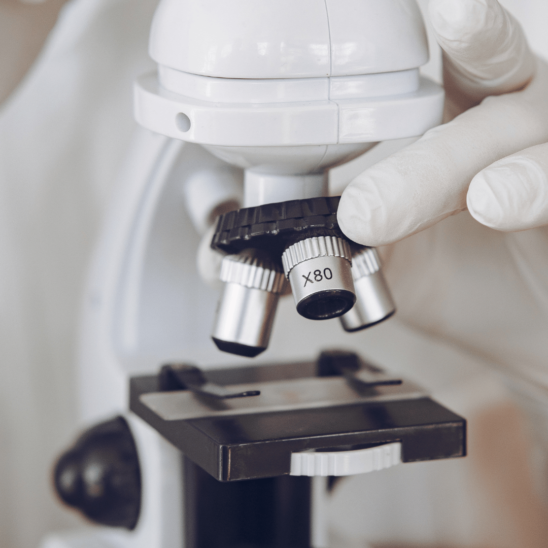 STEM Professions: Jobs in Microbiology