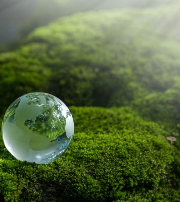 The Renewable Energy Roles Hardest to Fill Before 2027