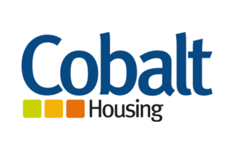 Assistant Director of Strategic Asset Management, Cobalt Housing 