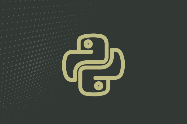 Python H2 2025 Talent Report Banner