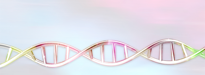 Bridging the Gender Gap - The Unexplored Potential for Women in Clinical Research