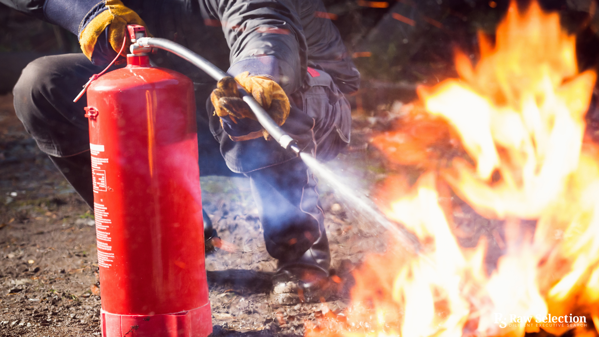 CEO - Fire & Safety Services - US