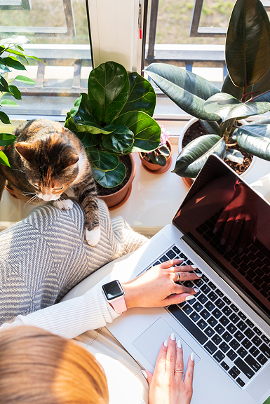 Employer Brand Protection: