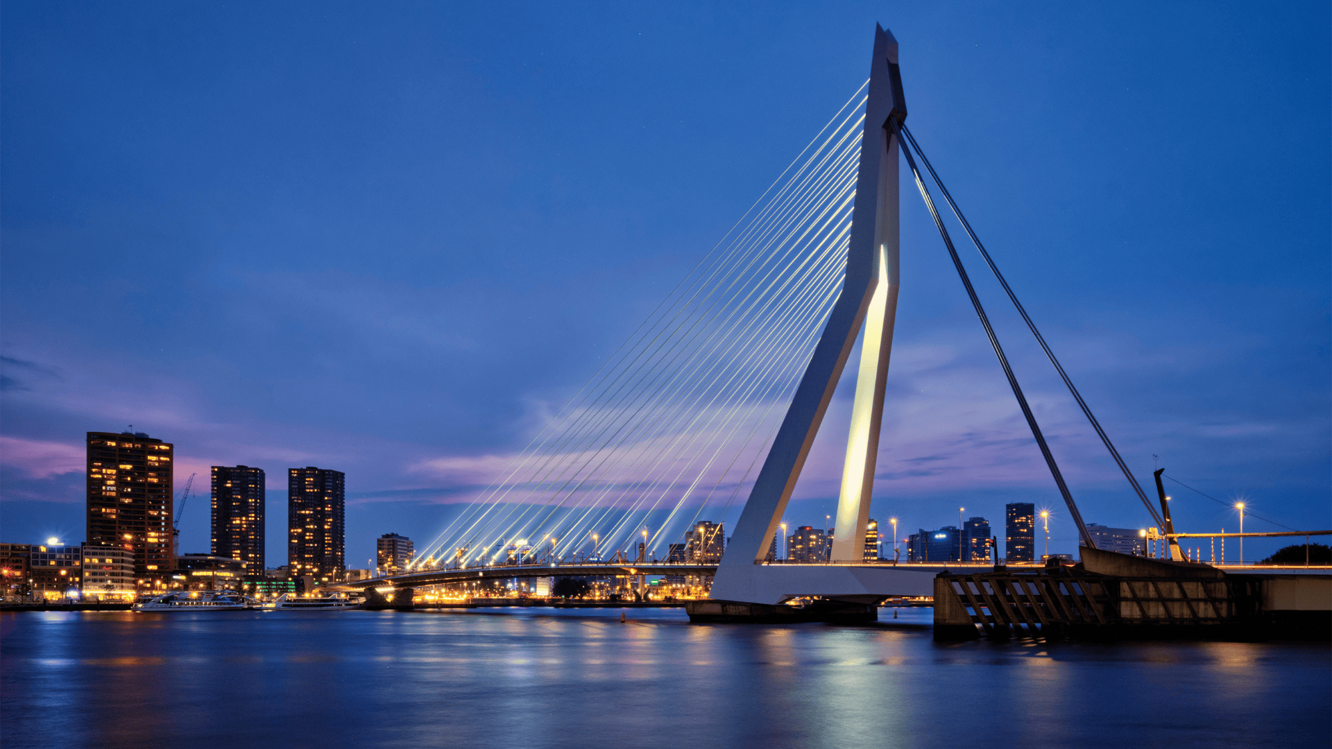 Delivering a Critical IT Hire with Precision and Speed