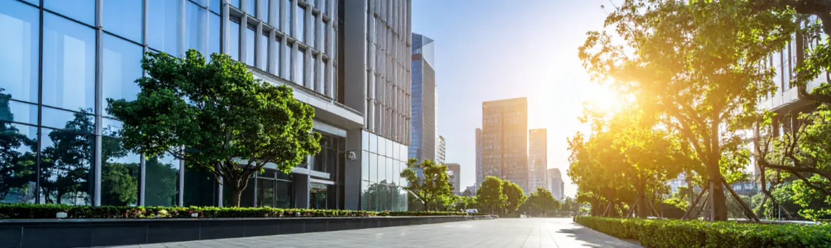 Hiring Interim Immigration Lawyers to Manage Case Backlogs