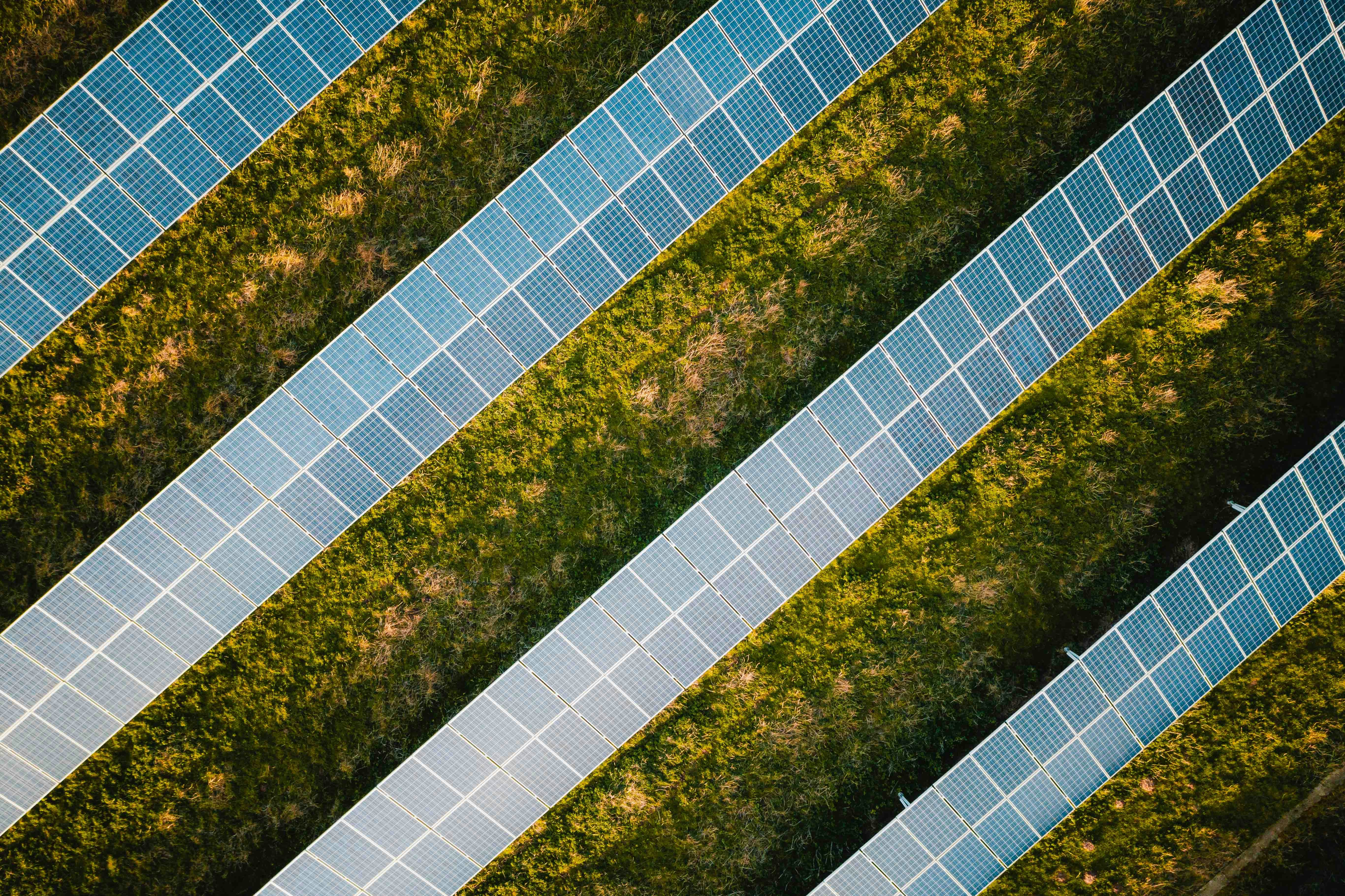 The Future is Clean: Hugh Gilmour on Building a Career in Renewable Energy