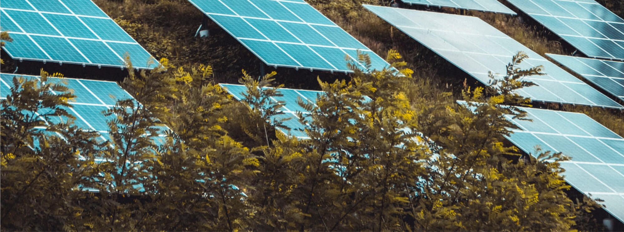 Clarion Events launches Clarion Cares initiative in support of Energize Ukraine