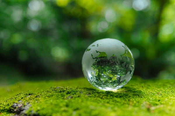 November Renewable Energy Round-Up: Global Momentum Builds Across Wind, Solar and Grid Infrastructure