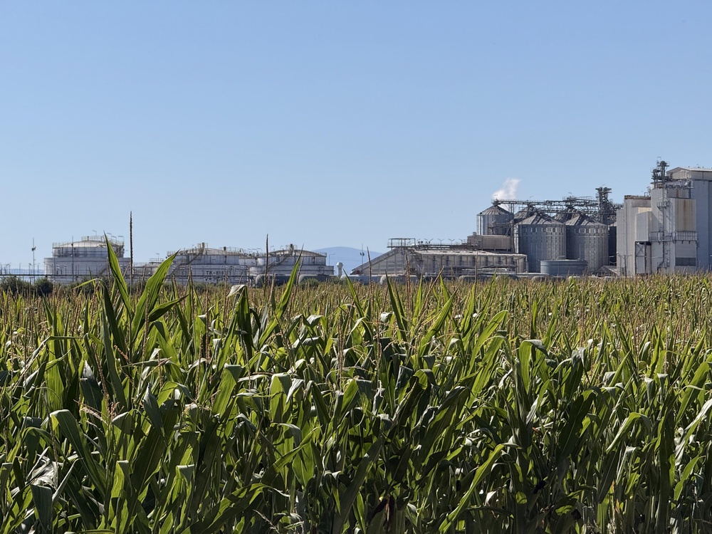 How Does the Biotech Act II Change European Biotech?