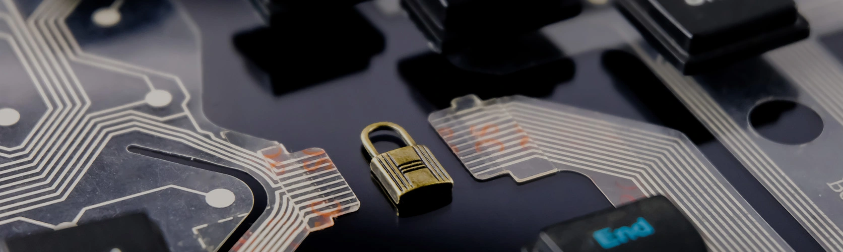 The Cybersecurity Talent Shortage: What Companies Can Do