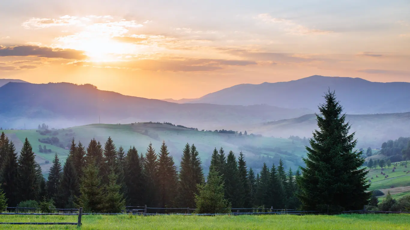 Talent Intelligence Services