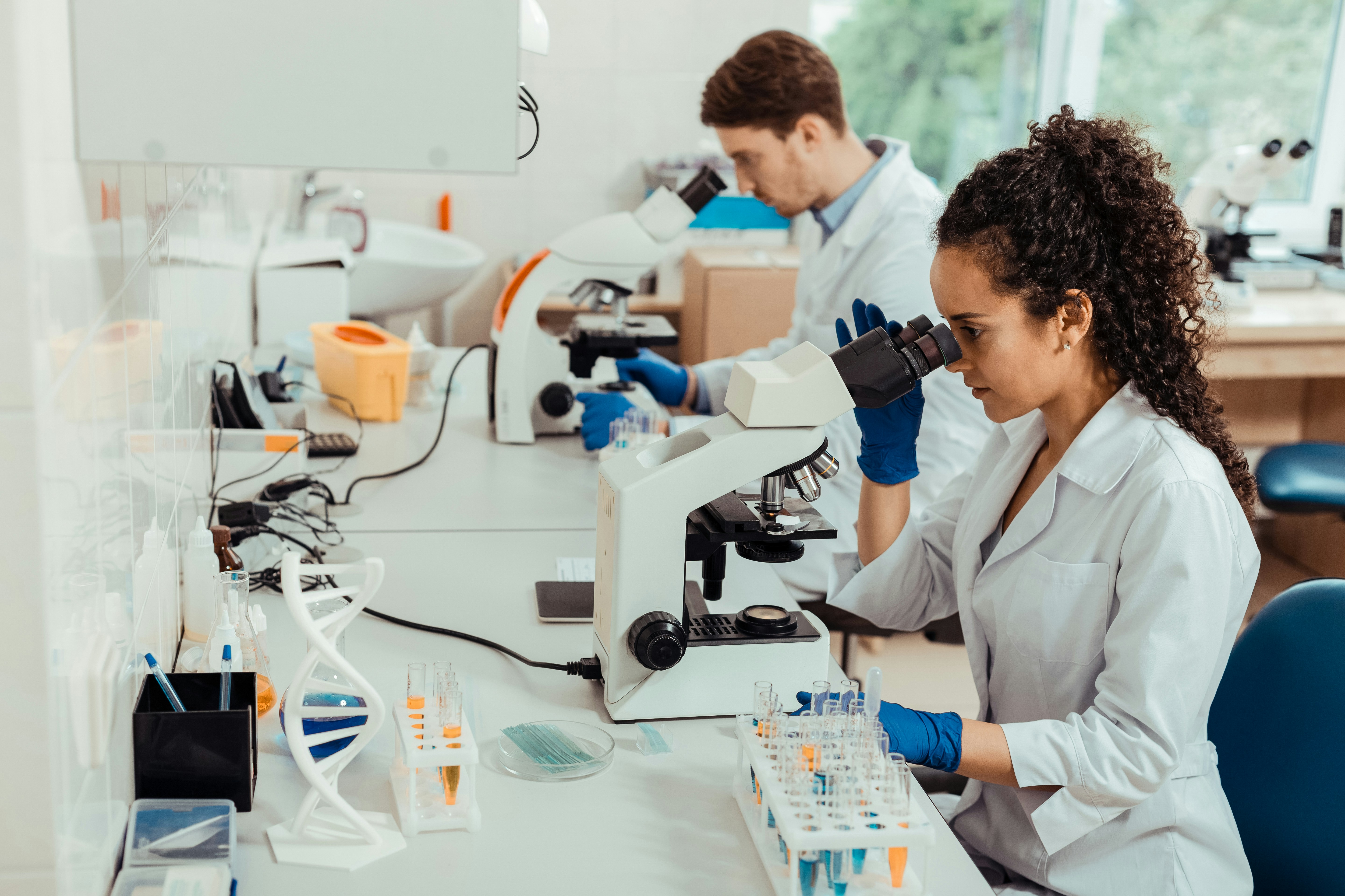 Post-Merger Integration in Life Sciences: How System Consolidation Drives Value Without Losing Speed image
