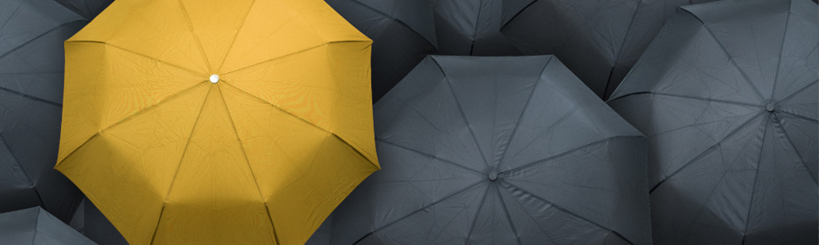 The Benefits of Working with a Specialist Recruiter