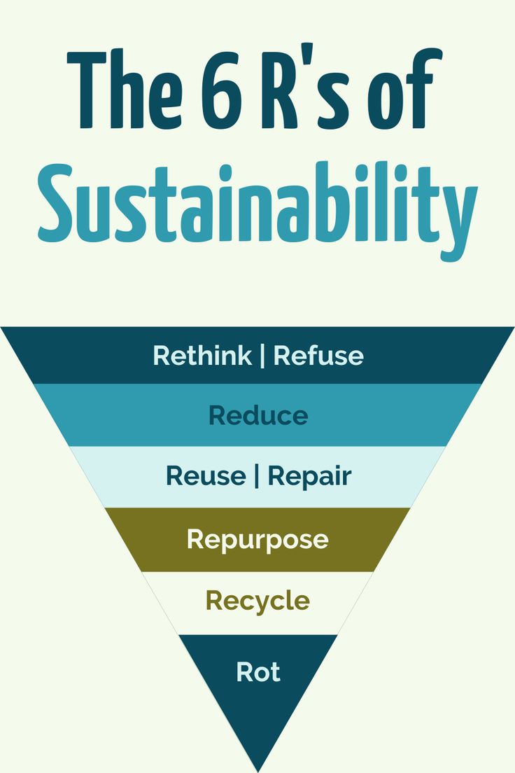 Sustainability in UK Food Manufacturing: Why It Belongs on Your CV