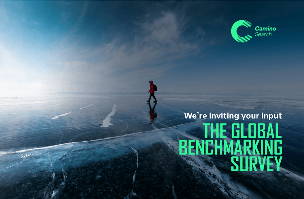 2024-camino-search-global-benchmarking-survey