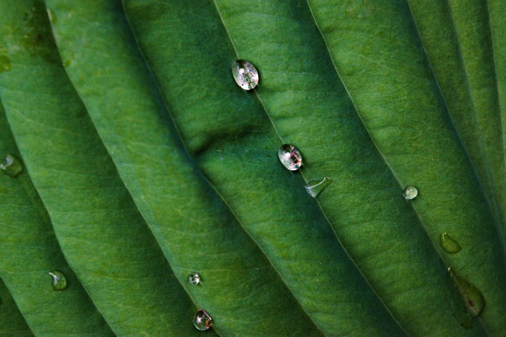 the-ai-transformation-playbook-practical-steps-for-transformation-leaders-here-and-now