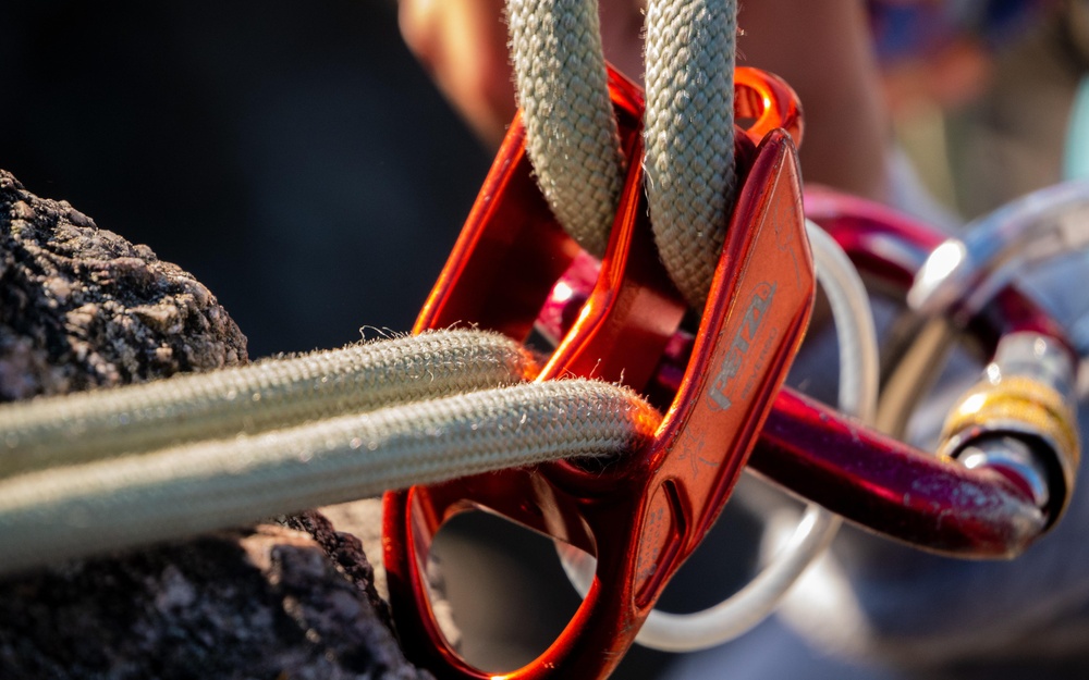 the-ai-q-a-how-is-artificial-intelligence-adding-value-to-the-accounting-environment