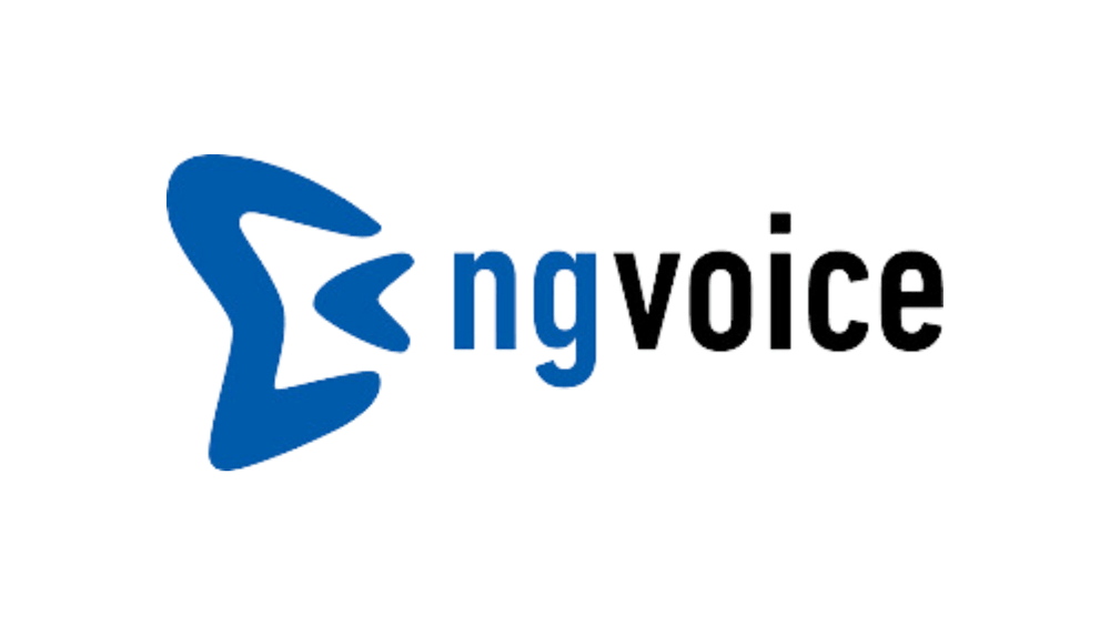 ng-voice