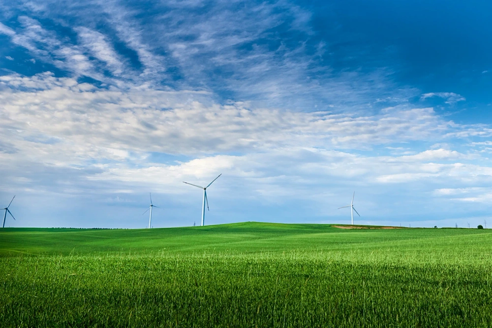 Sustainability Jobs
