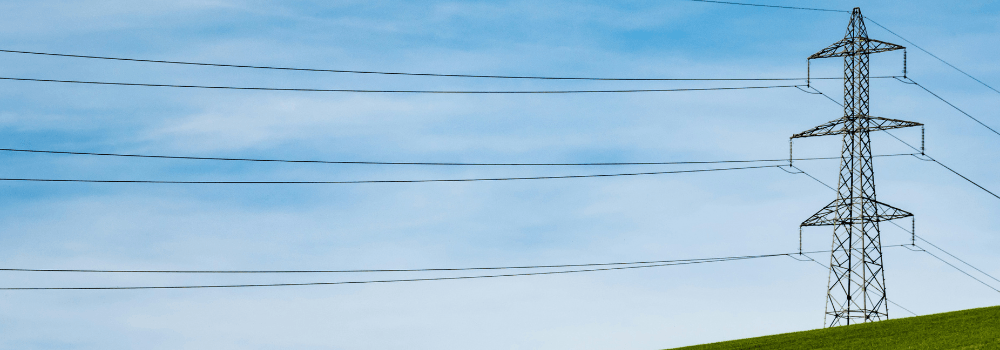 The National Grid and It's Importance