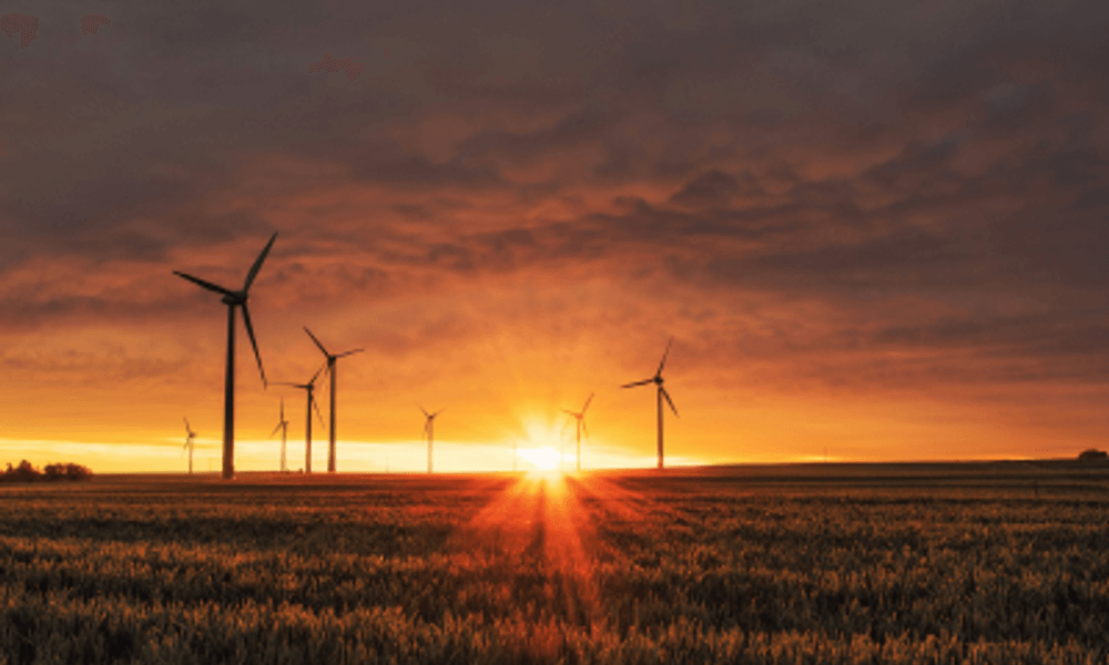 Delivering a Cost-Effective Candidate Solution