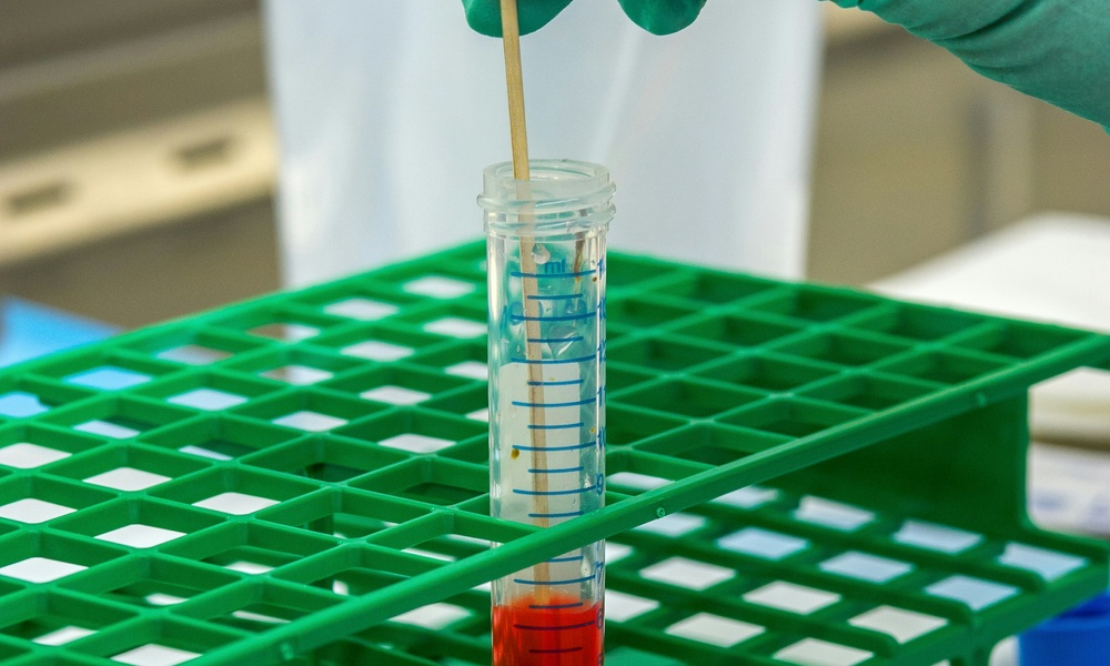 RARE - Ulf Staginnus