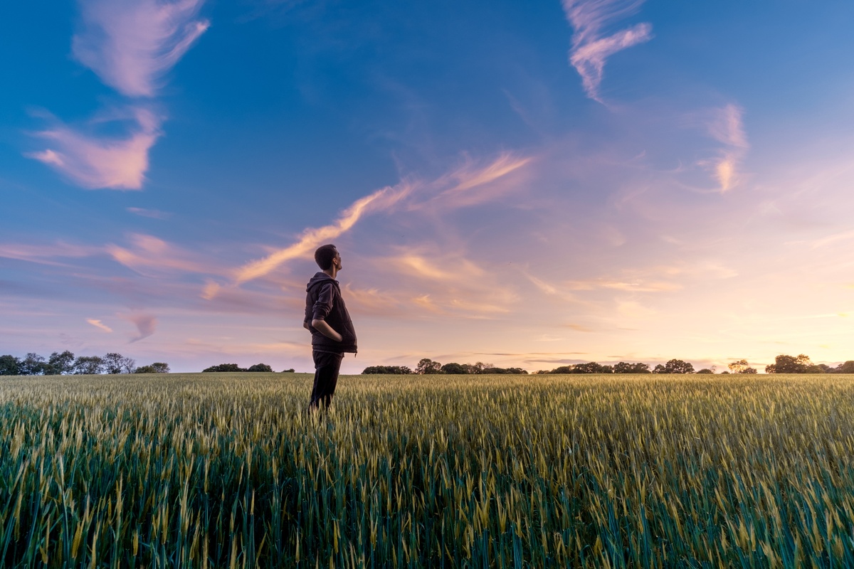 The Future of Job Applications (and the Increasing Chance of AI Taking Over)