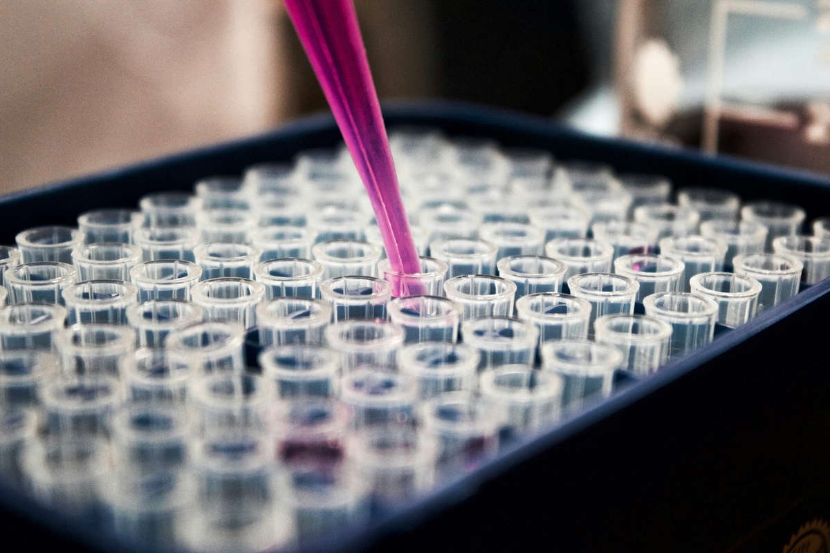 Close-up of a laboratory technician using a pipette to dispense a pink liquid into a rack of clear microcentrifuge tubes, illustrating scientific research, biotechnology, laboratory testing, or drug development.