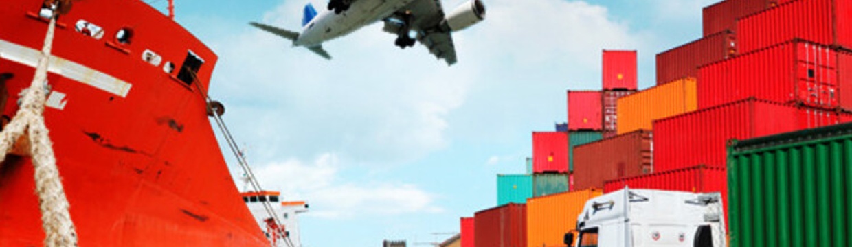 From NGO to Business: How to Prepare for a Career Shift in Supply Chain