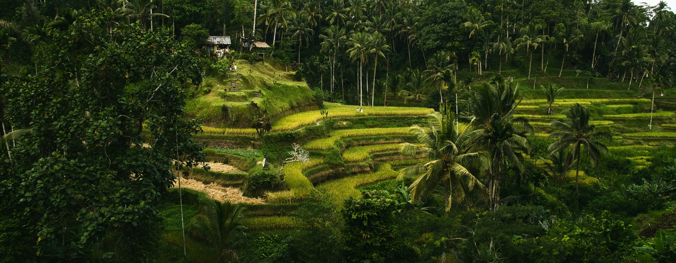 LHi Gift of Time Spotlight: Julia Pylypenko’s Adventure