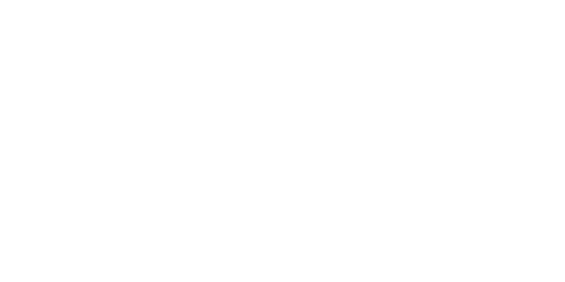 DSV logo