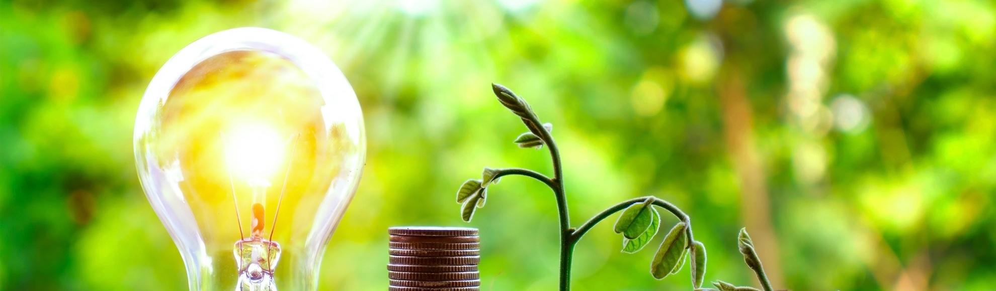 UK Grant Funding & Innovation: Recruitment Report 2025