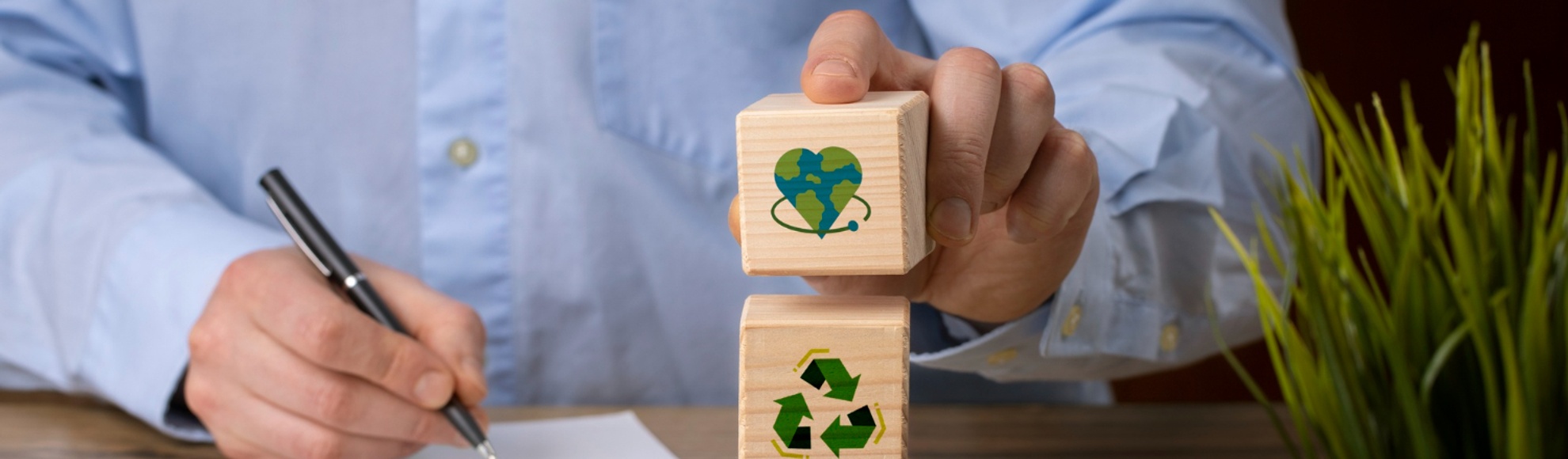 The evolution of the CSO: from storyteller to strategist